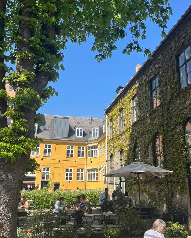 Gården hos Mellemfolkeligt Samvirke en solskinsdag